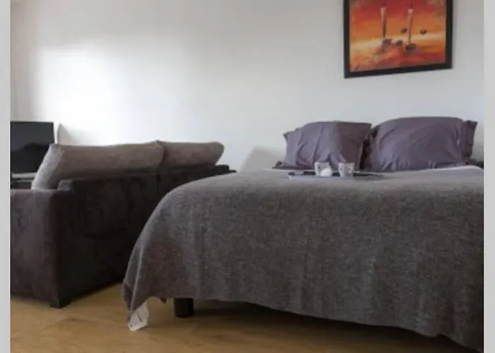 Apartament Le Schnokeloch Strasburg